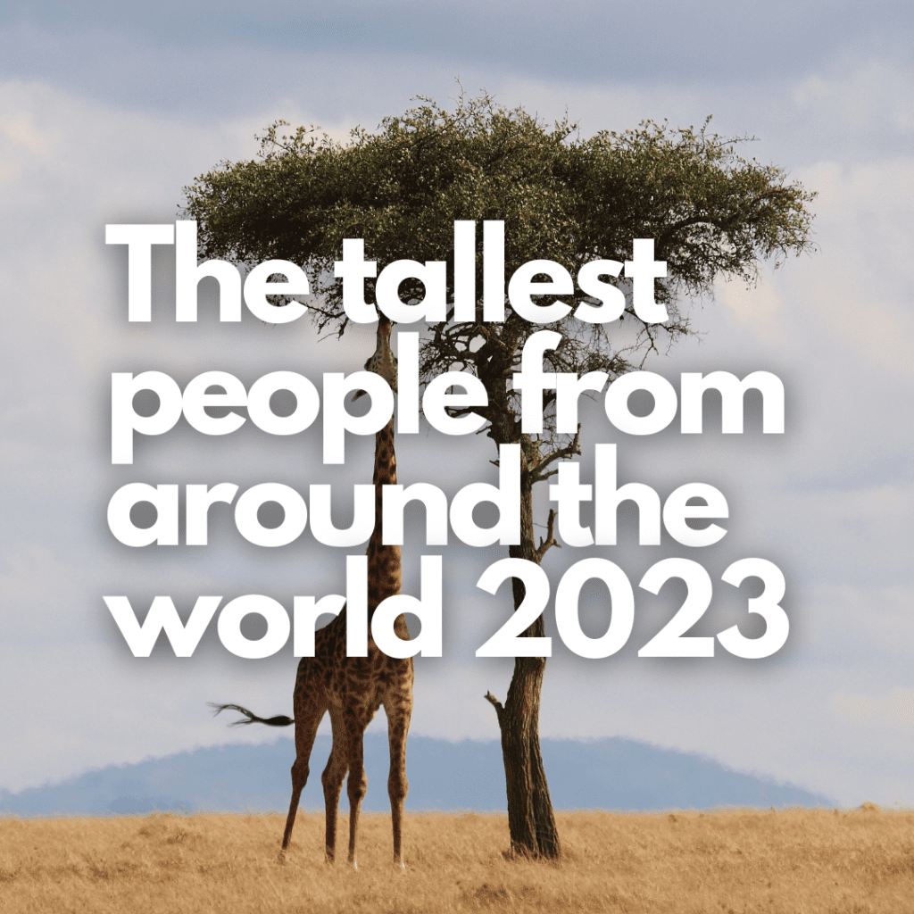 tallest people in the world